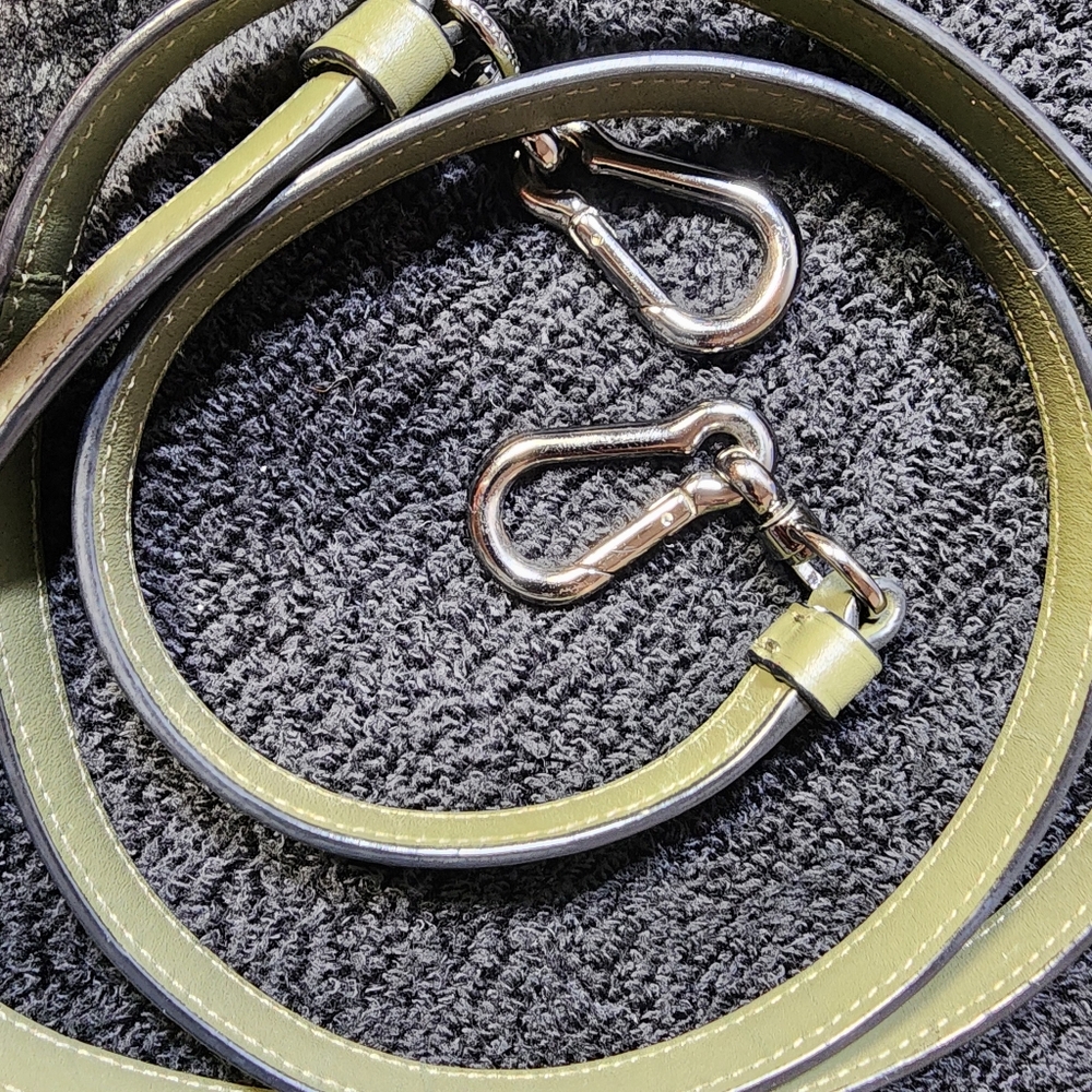 PRAIRIE SATCHEL (COACH F56818) Sage Green/DARK GUNMETAL EUC - Picture 16 of 16